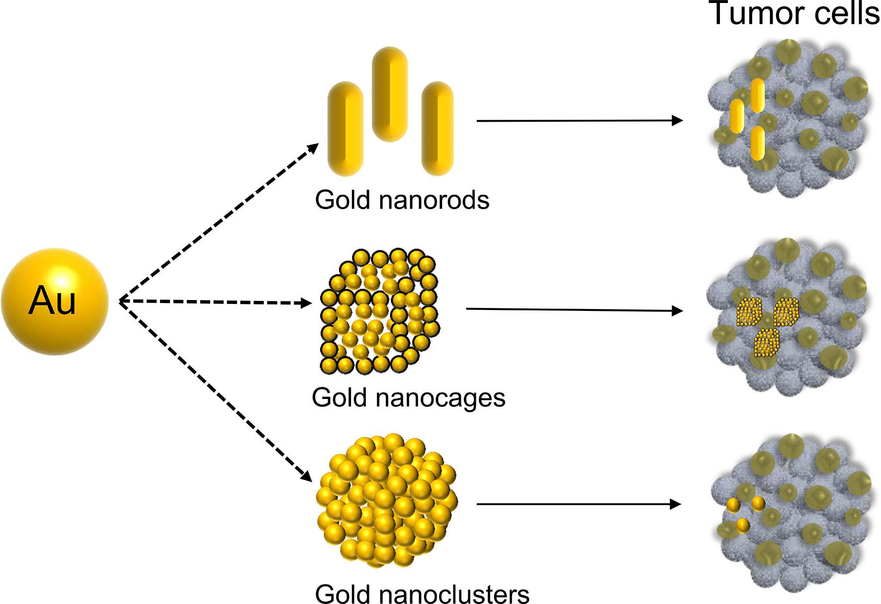 Synthesis of Nanoparticles Through ion implantation • Chord