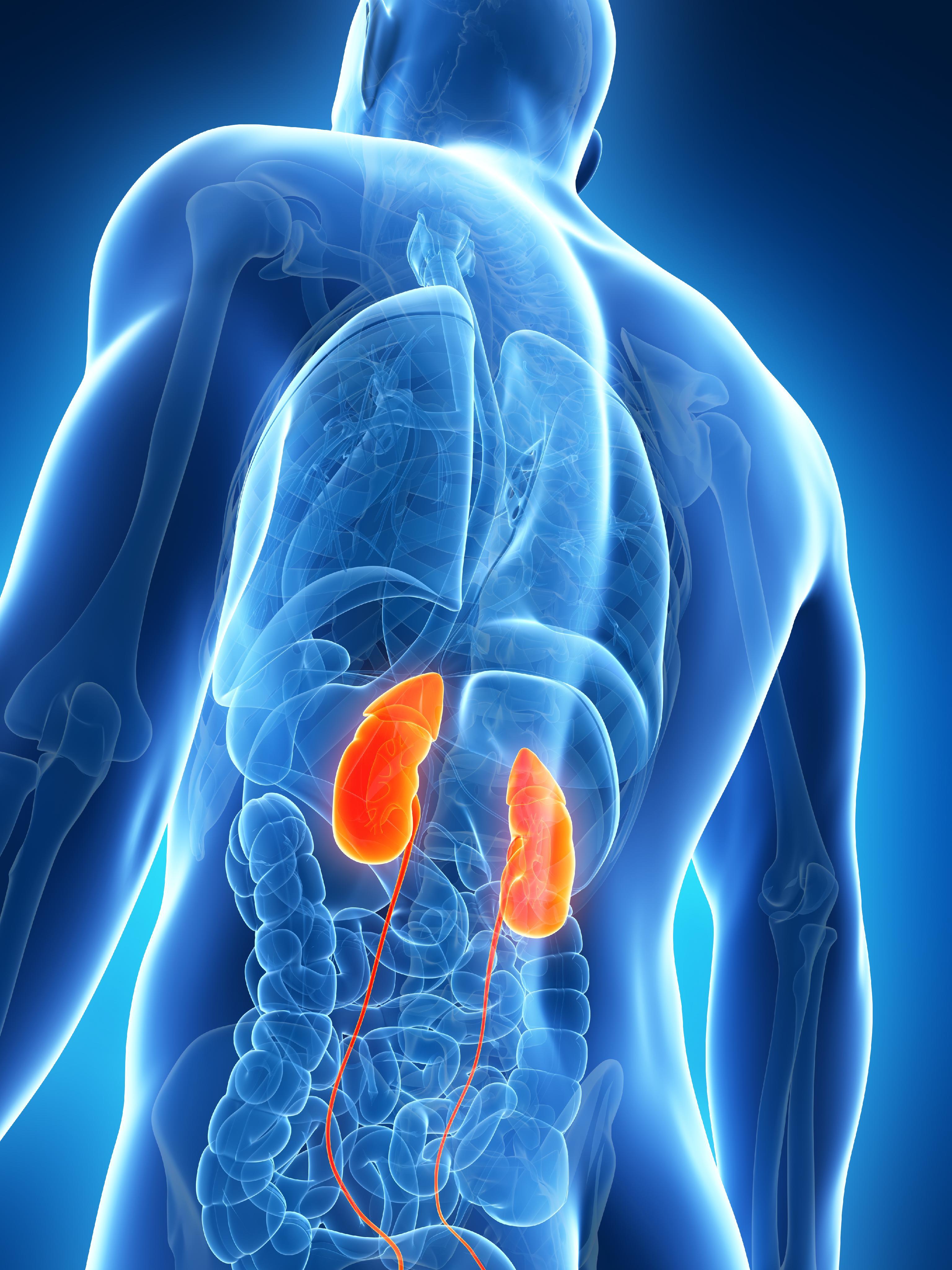 chronic-kidney-failure-causes-symptoms-methods-of-diagnosis-and